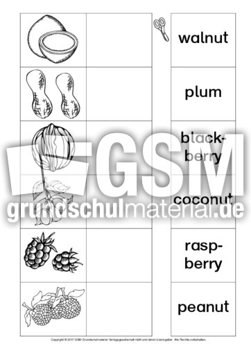 AB-fruit-Zuordnung 3.pdf